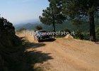 Shakedown91
