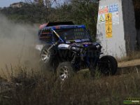 IMG 0241
