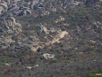 IMG 0408