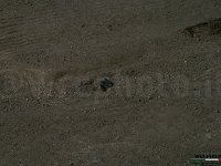 IMG 6557