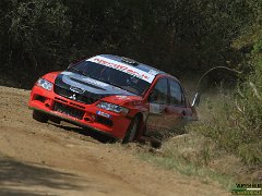 #21 MARRONE - PUDDA