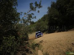 #5 CECCOLI - CAMPOLONGO