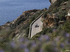#1 M-SPORT FORD WORLD RALLY TEAM S. OGIER - J. INGRASSIA