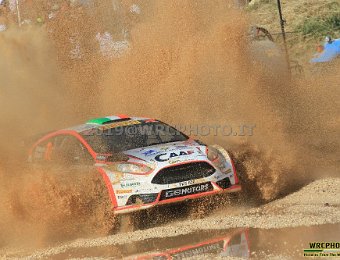 #104 DALMAZZINI - CIUCCI