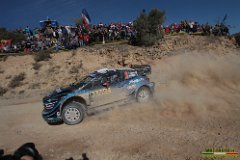 #3 SUNINEN - LEHTINEN