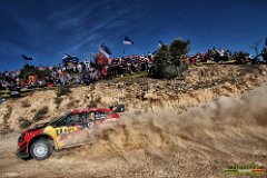 #4 LAPPI  -FERM