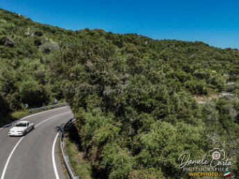 027 - PALMIERI - ZAMBIASI