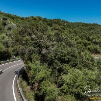 DJI_20260425132743_0312_D default