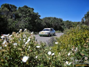 075 - LEDDA - FRATTA