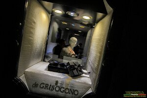 IMG 4941