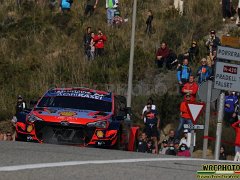 #6 SORDO - CARRERA
