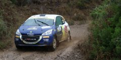 #37 LICERI - MENDOLA