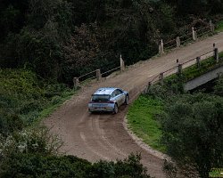 REMO0335