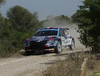#41 MIELE - BELTRAME