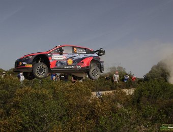 #8 TÄNAK - JÄRVEOJA