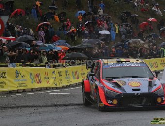 #11 NEUVILLE - WYDAEGHE