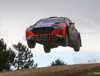 #25 SUNNINEN - MARKKULA