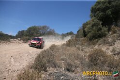 PROKOP14