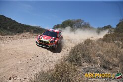 PROKOP15