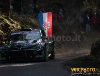 #41 KEFERBÖCK - MINOR